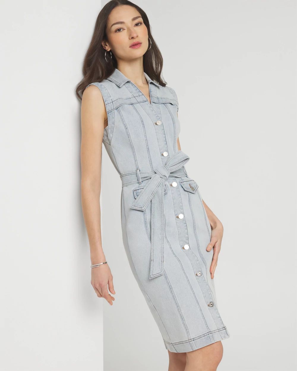 Petite Short Sleeve Denim Sheath Dress